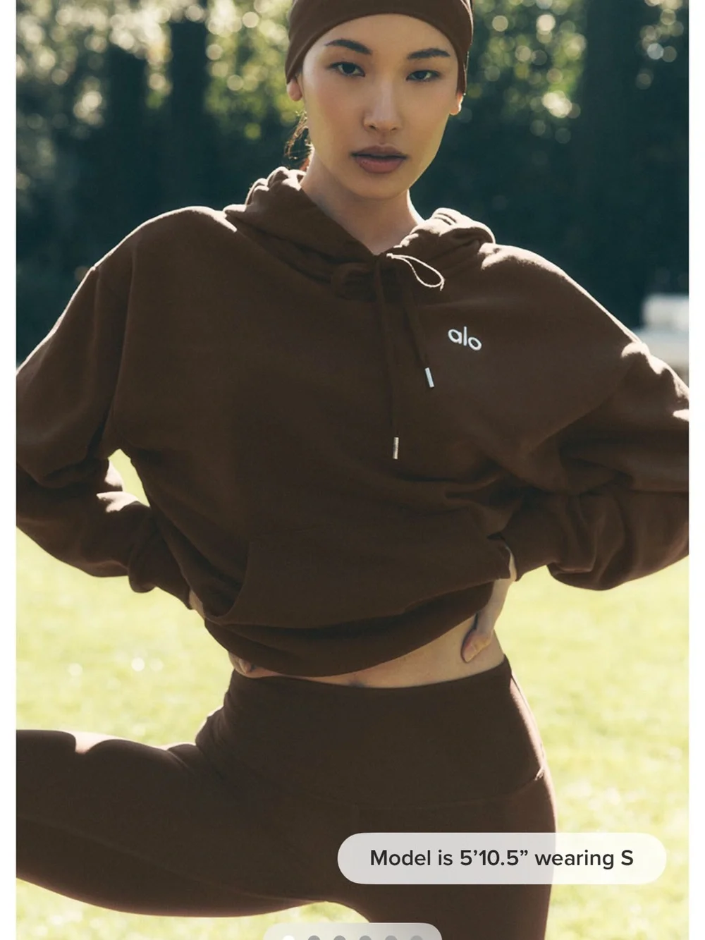 ALO Yoga Brown Cropped Hoodie (unisex so runs big)